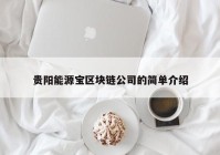 贵阳能源宝区块链公司的简单介绍